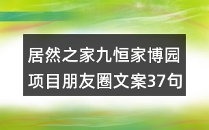 居然之家九恒家博園項目朋友圈文案37句