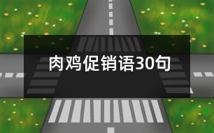 肉雞促銷語30句