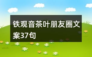 鐵觀音茶葉朋友圈文案37句