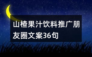 山楂果汁飲料推廣朋友圈文案36句