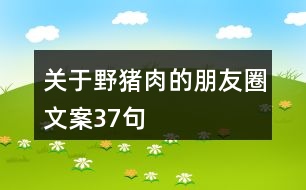 關(guān)于野豬肉的朋友圈文案37句