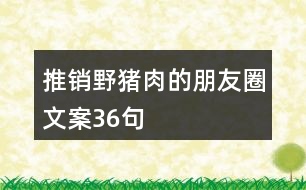 推銷(xiāo)野豬肉的朋友圈文案36句