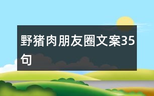 野豬肉朋友圈文案35句