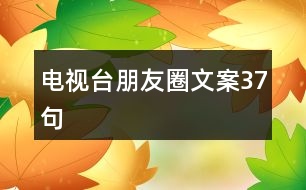 電視臺朋友圈文案37句