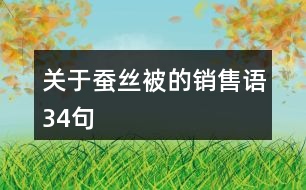 關于蠶絲被的銷售語34句