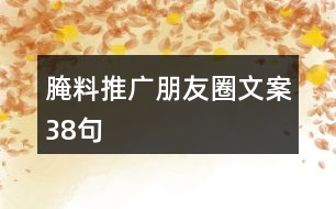 腌料推廣朋友圈文案38句