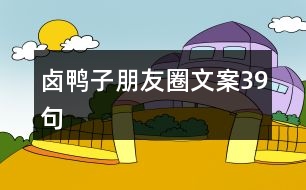 鹵鴨子朋友圈文案39句