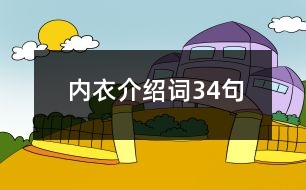 內(nèi)衣介紹詞34句