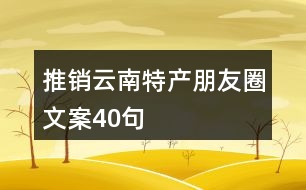 推銷云南特產(chǎn)朋友圈文案40句