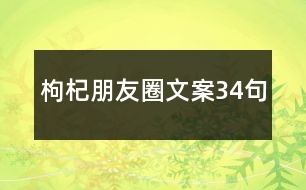 枸杞朋友圈文案34句