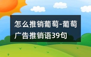 怎么推銷葡萄-葡萄廣告推銷語39句