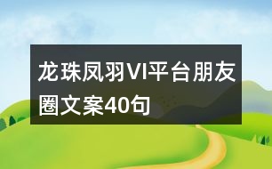 龍珠鳳羽VI平臺(tái)朋友圈文案40句