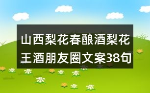 山西梨花春釀酒梨花王酒朋友圈文案38句