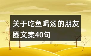 關(guān)于吃魚喝湯的朋友圈文案40句