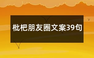 枇杷朋友圈文案39句