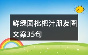 鮮綠園枇杷汁朋友圈文案35句