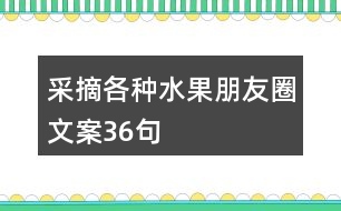 采摘各種水果朋友圈文案36句