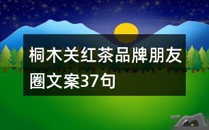 桐木關紅茶品牌朋友圈文案37句