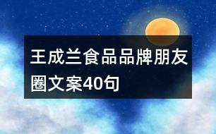 王成蘭食品品牌朋友圈文案40句