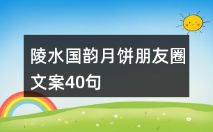 陵水國韻月餅朋友圈文案40句