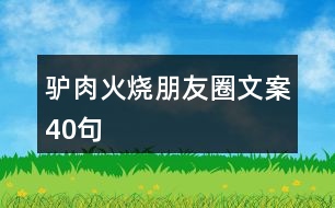 驢肉火燒朋友圈文案40句