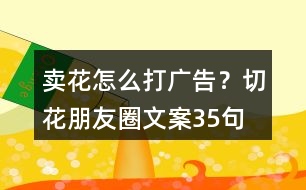 賣花怎么打廣告？切花朋友圈文案35句