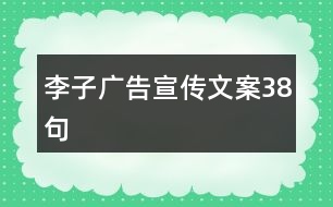 李子廣告宣傳文案38句