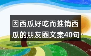 因西瓜好吃而推銷西瓜的朋友圈文案40句