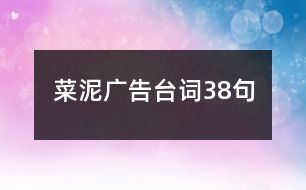 菜泥廣告臺(tái)詞38句