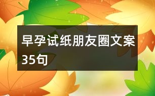 早孕試紙朋友圈文案35句