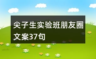 尖子生實驗班朋友圈文案37句