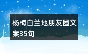 楊梅白蘭地朋友圈文案35句