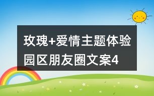 “玫瑰+愛情”主題體驗(yàn)園區(qū)朋友圈文案40句