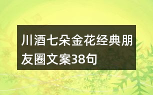 川酒七朵金花經(jīng)典朋友圈文案38句