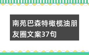 南苑巴森特橄欖油朋友圈文案37句