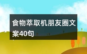 食物萃取機朋友圈文案40句