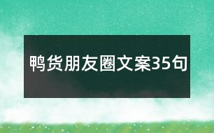 鴨貨朋友圈文案35句