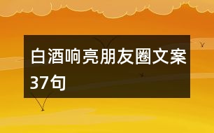 白酒響亮朋友圈文案37句