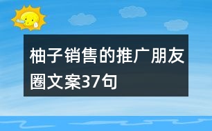 柚子銷售的推廣朋友圈文案37句