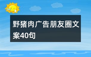 野豬肉廣告朋友圈文案40句