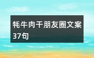 牦牛肉干朋友圈文案37句