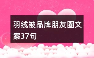 羽絨被品牌朋友圈文案37句