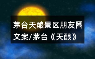 茅臺天釀景區(qū)朋友圈文案/茅臺《天釀》大型演出朋友圈文案39句