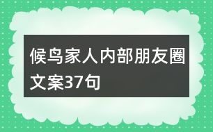 候鳥家人內(nèi)部朋友圈文案37句