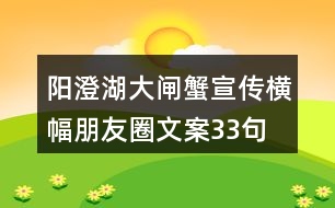 陽澄湖大閘蟹宣傳橫幅朋友圈文案33句