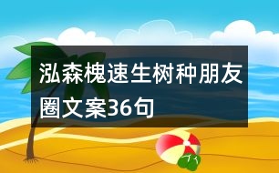 泓森槐速生樹(shù)種朋友圈文案36句