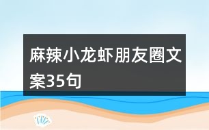 麻辣小龍蝦朋友圈文案35句