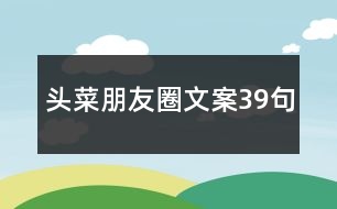 頭菜朋友圈文案39句