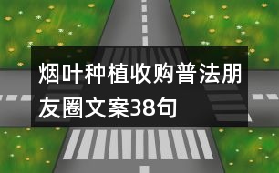 煙葉種植收購(gòu)普法朋友圈文案38句