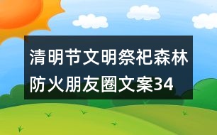 清明節(jié)文明祭祀、森林防火朋友圈文案34句